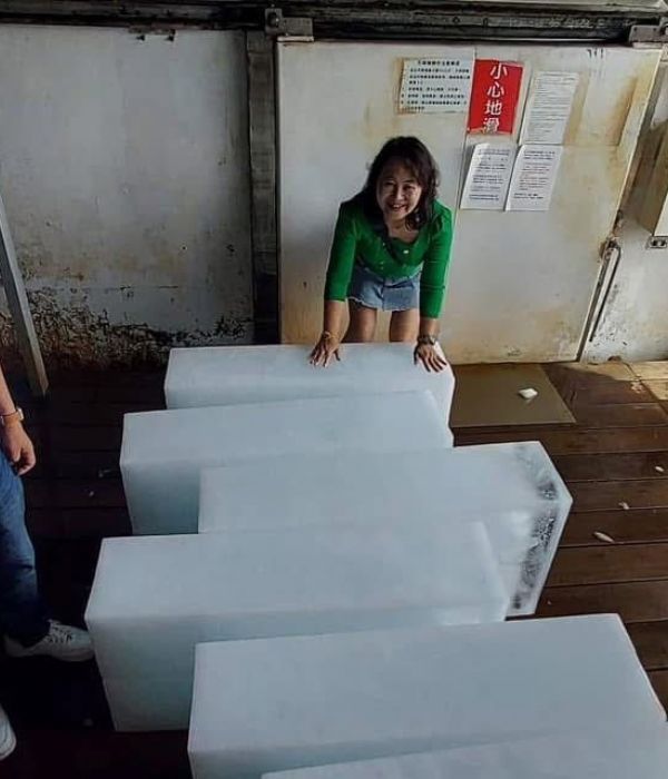 113年勞動節活動