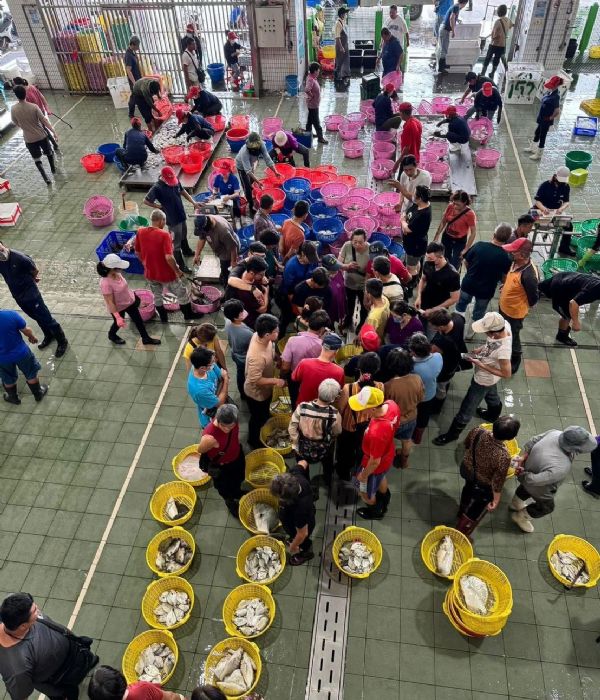 113年勞動節活動